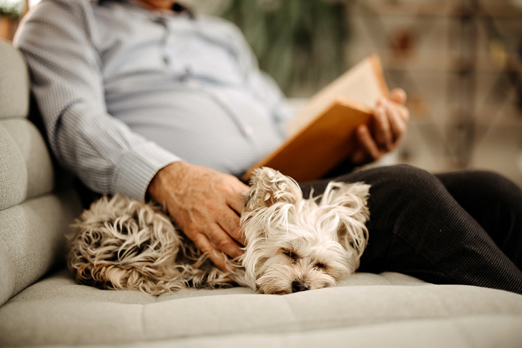 Relaxing with a book and dog